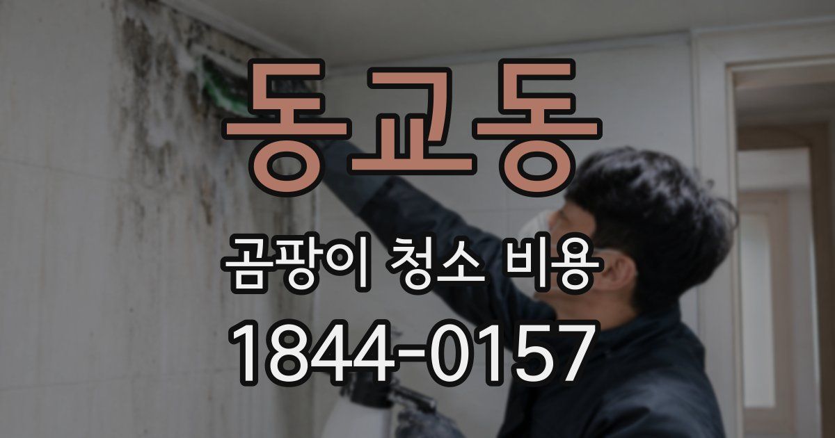 동교동 곰팡이 청소 비용