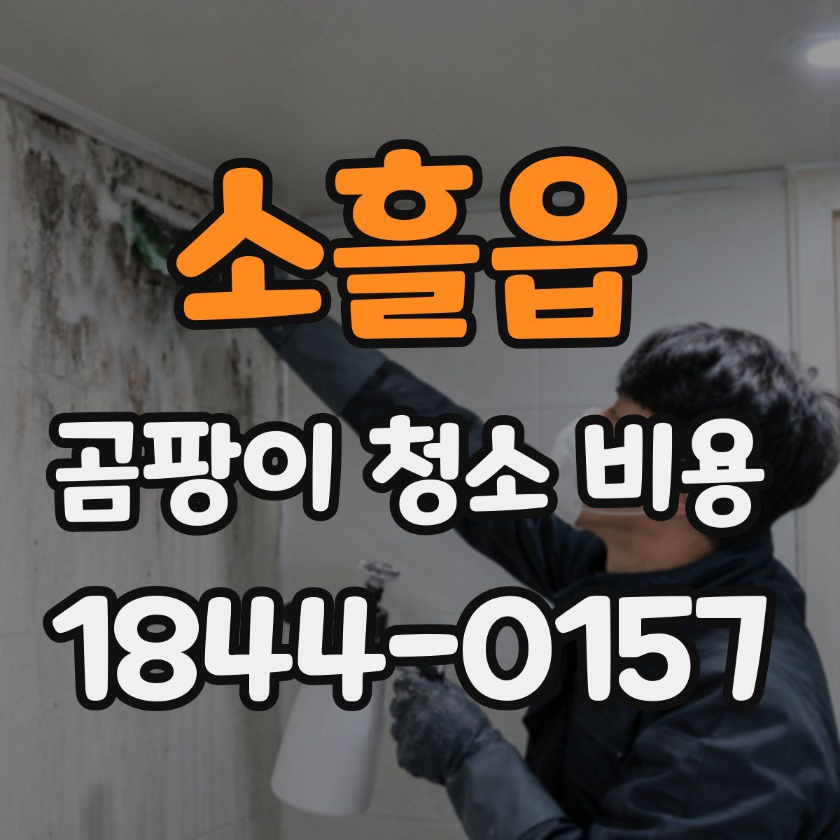 소흘읍 곰팡이 청소 비용