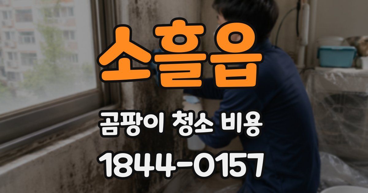 소흘읍 곰팡이 청소 비용
