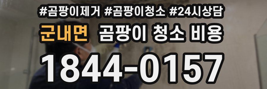군내면 곰팡이 청소 비용