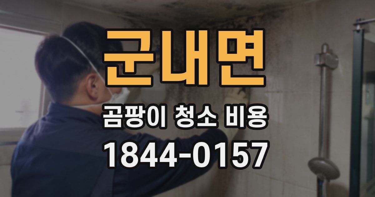 군내면 곰팡이 청소 비용