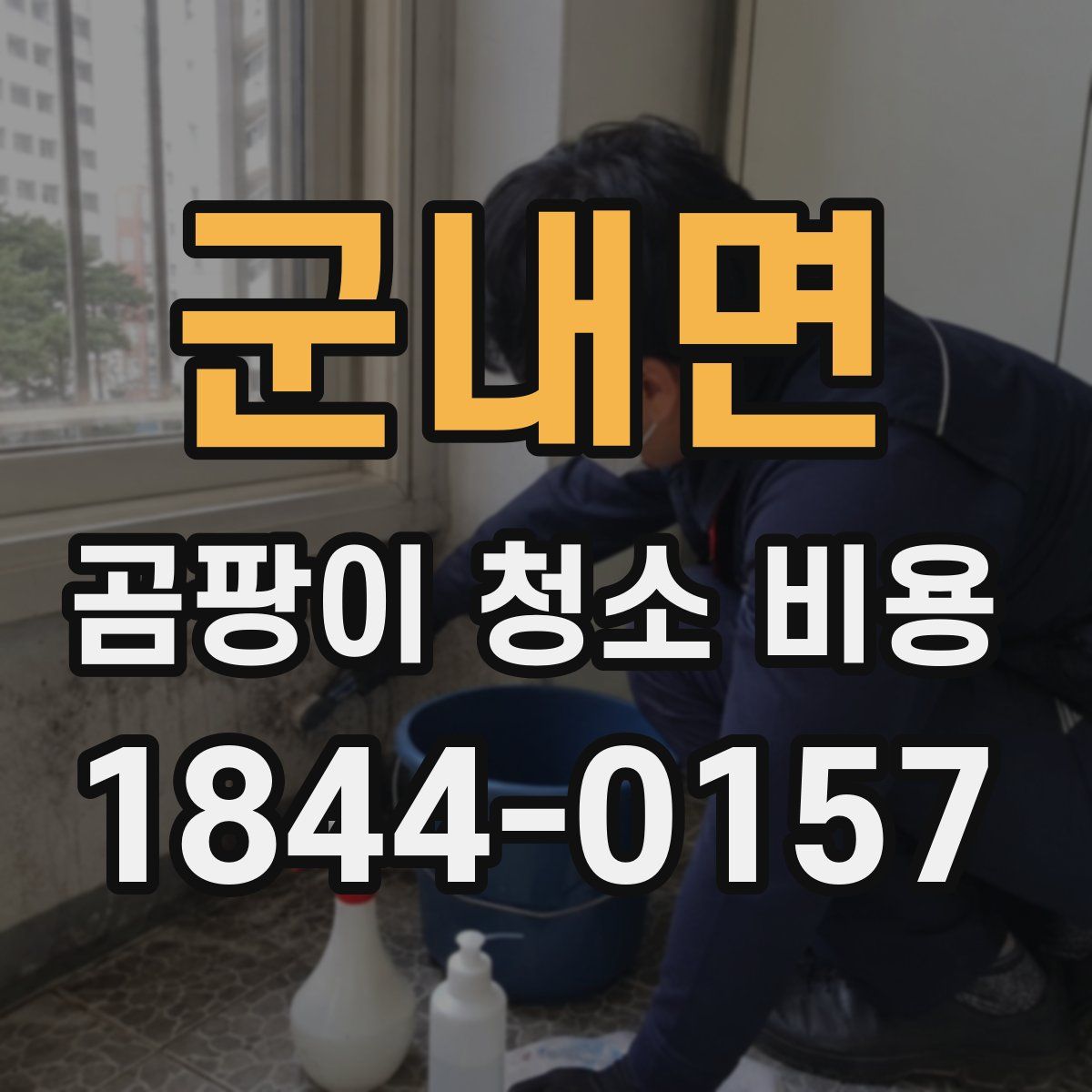 군내면 곰팡이 청소 비용