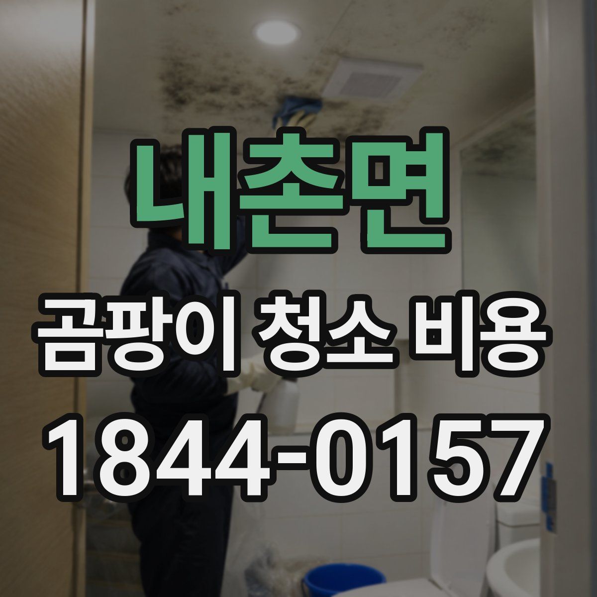 내촌면 곰팡이 청소 비용