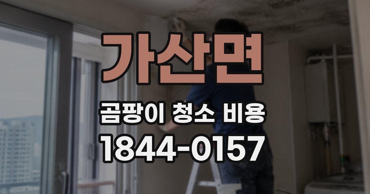 가산면 곰팡이 청소 비용