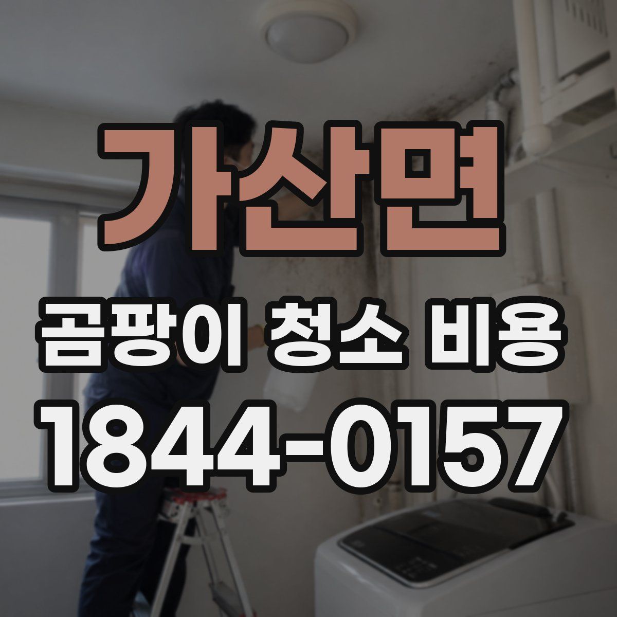 가산면 곰팡이 청소 비용