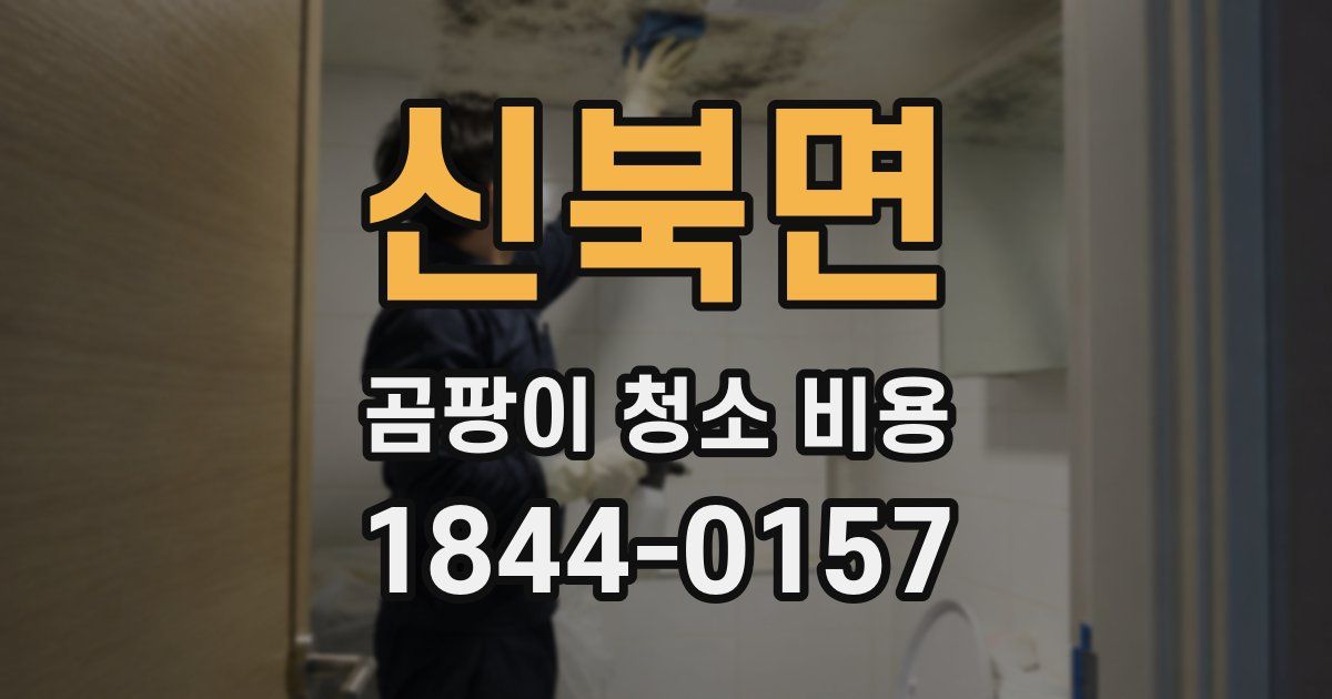 신북면 곰팡이 청소 비용