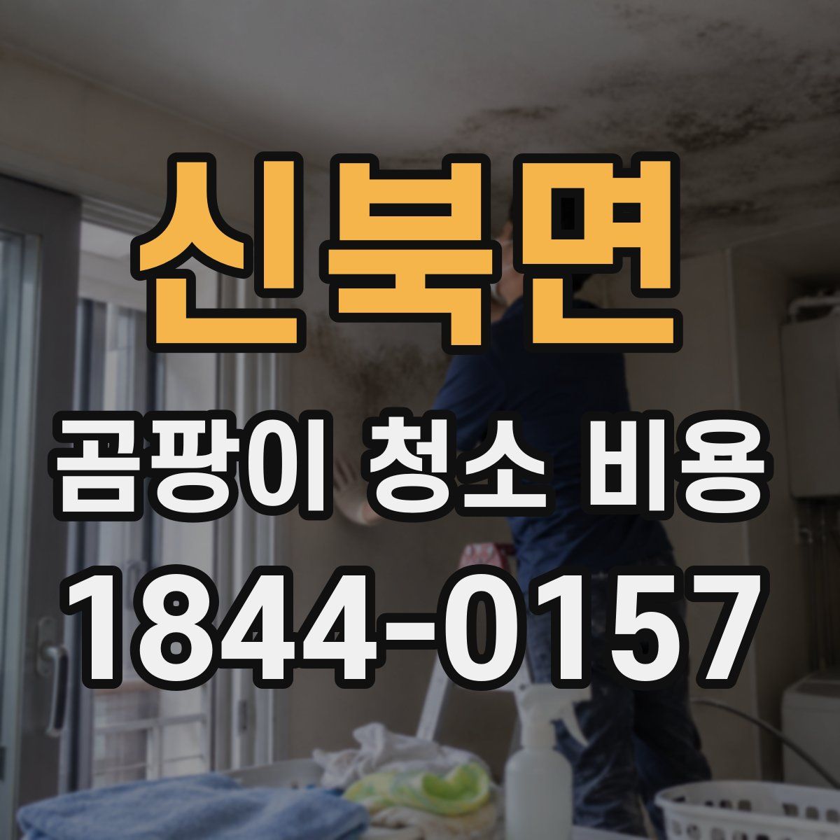 신북면 곰팡이 청소 비용