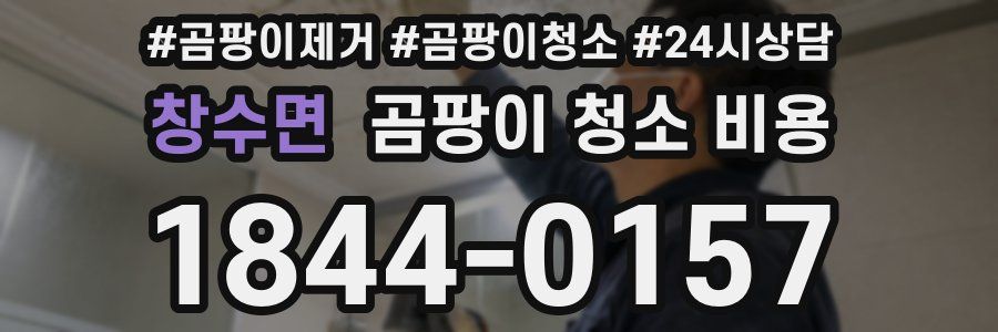 창수면 곰팡이 청소 비용