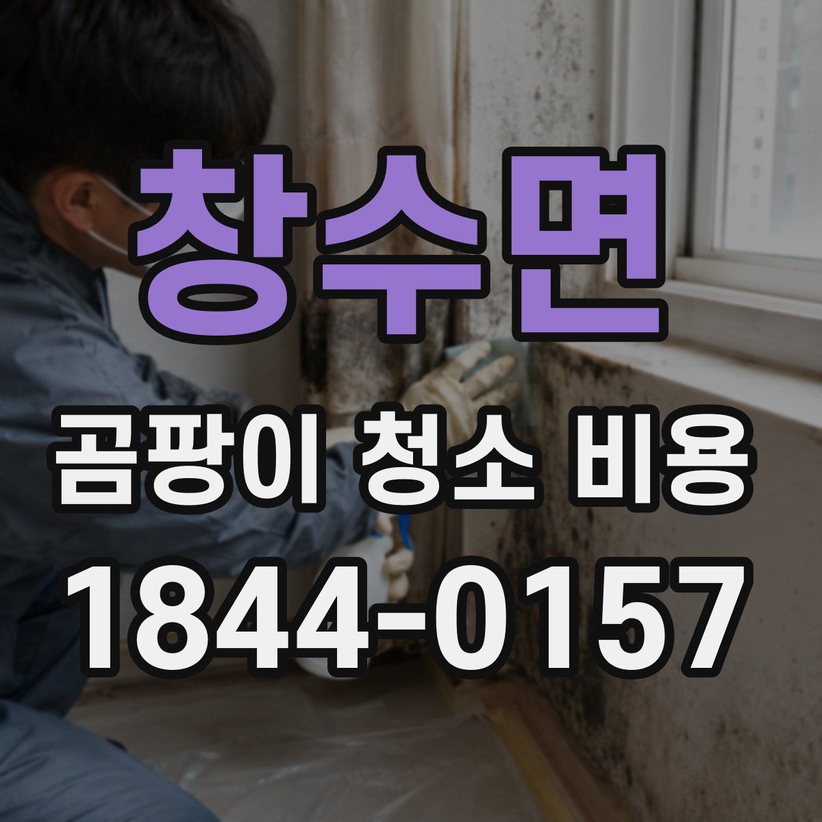 창수면 곰팡이 청소 비용