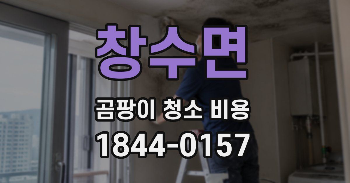 창수면 곰팡이 청소 비용