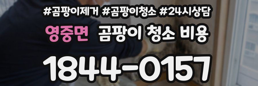 영중면 곰팡이 청소 비용