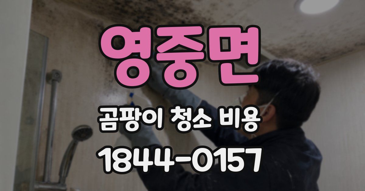 영중면 곰팡이 청소 비용