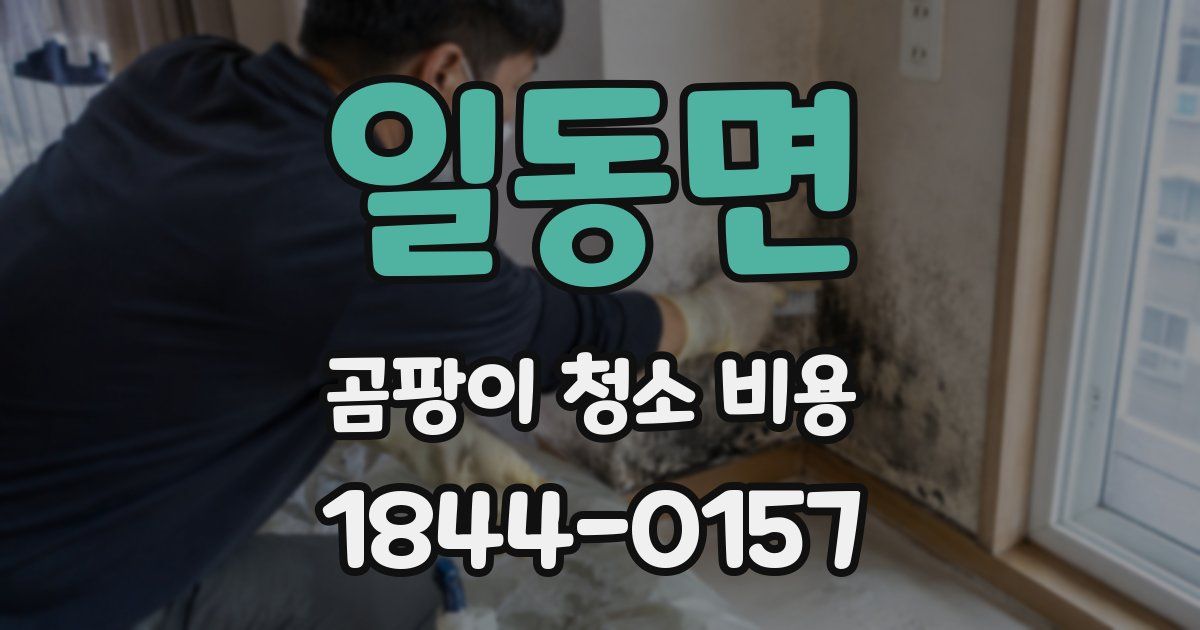 일동면 곰팡이 청소 비용