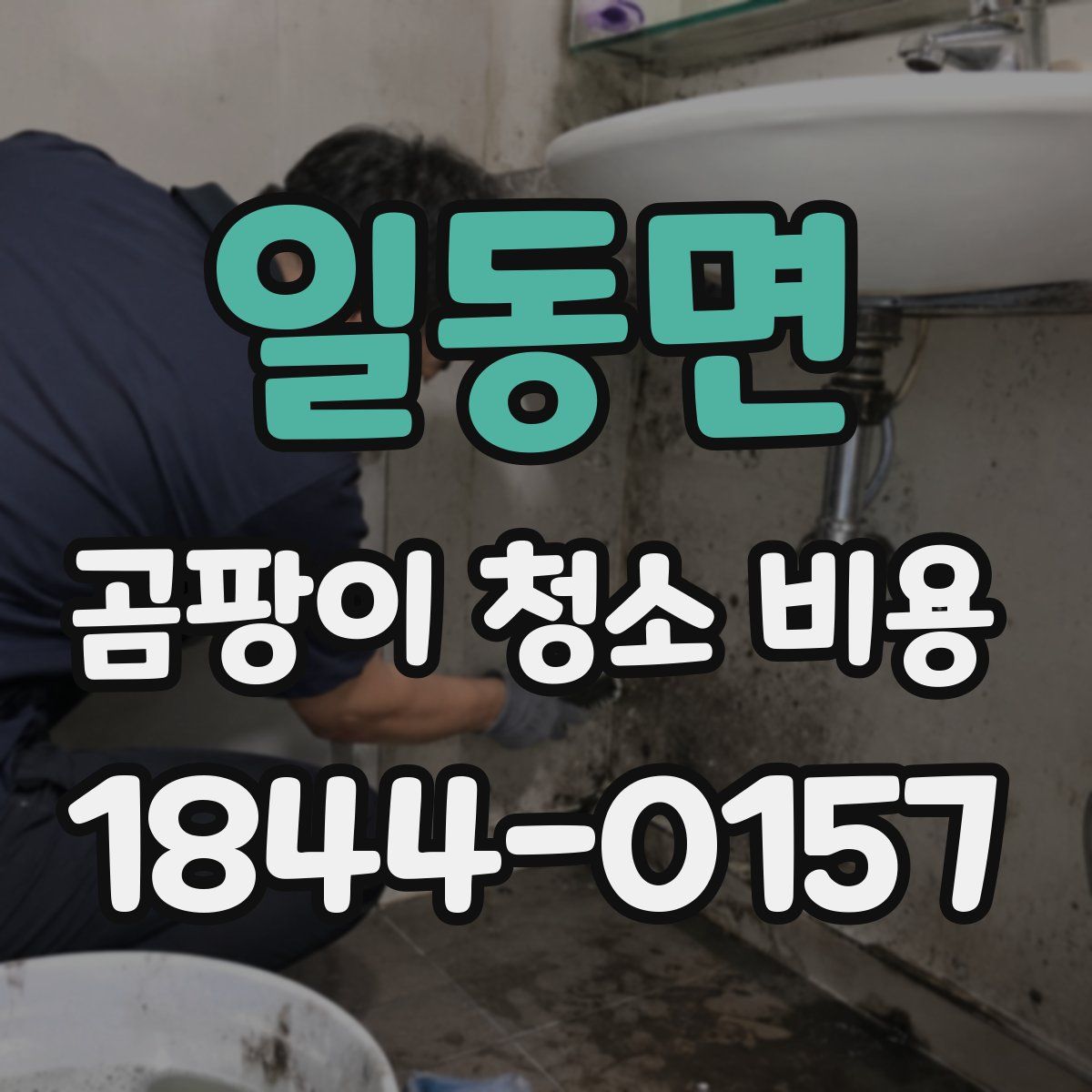 일동면 곰팡이 청소 비용