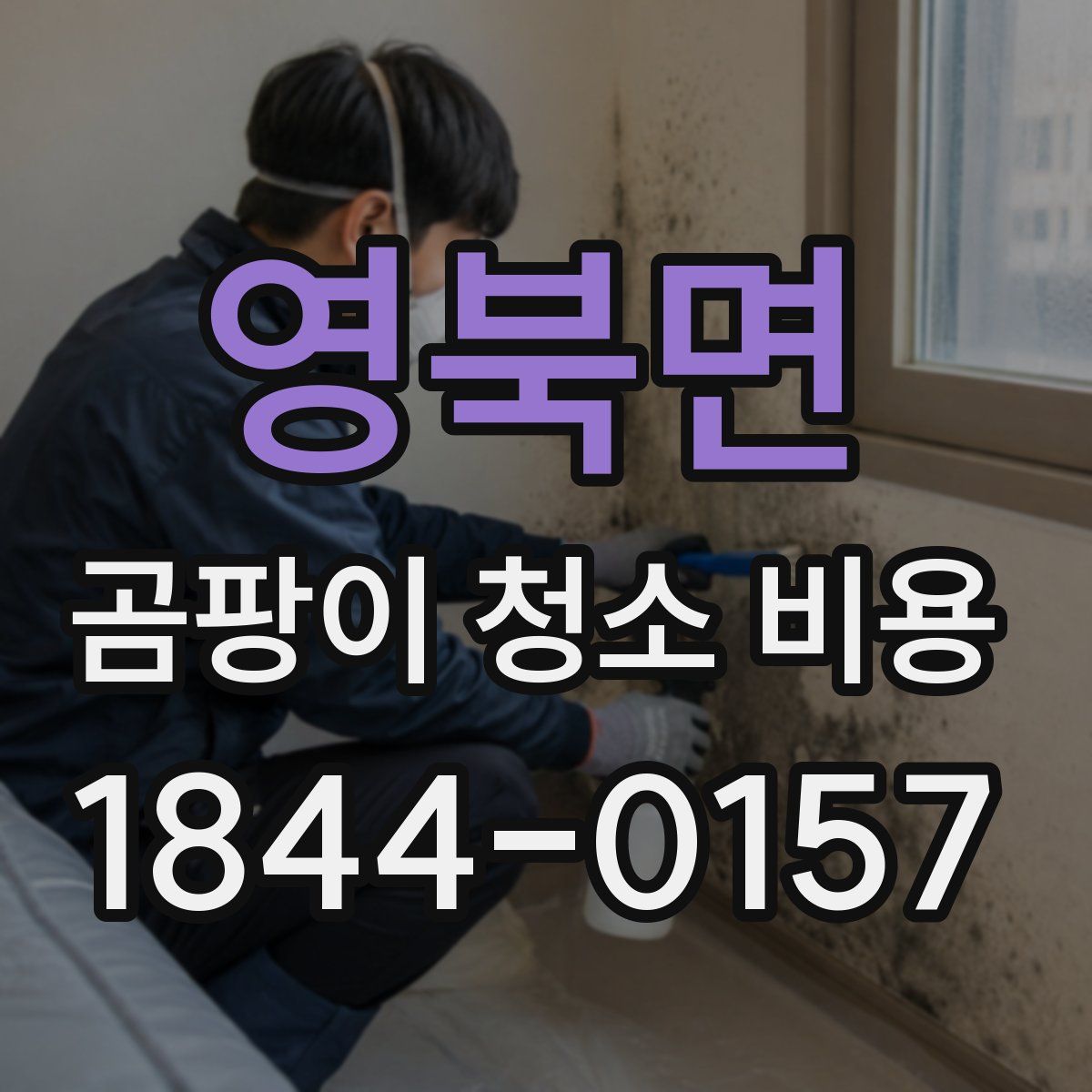 영북면 곰팡이 청소 비용