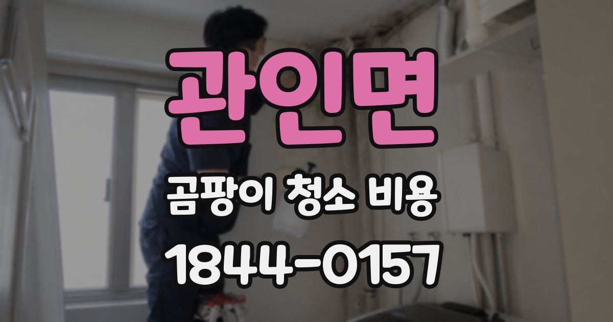 관인면 곰팡이 청소 비용