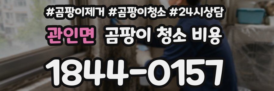 관인면 곰팡이 청소 비용