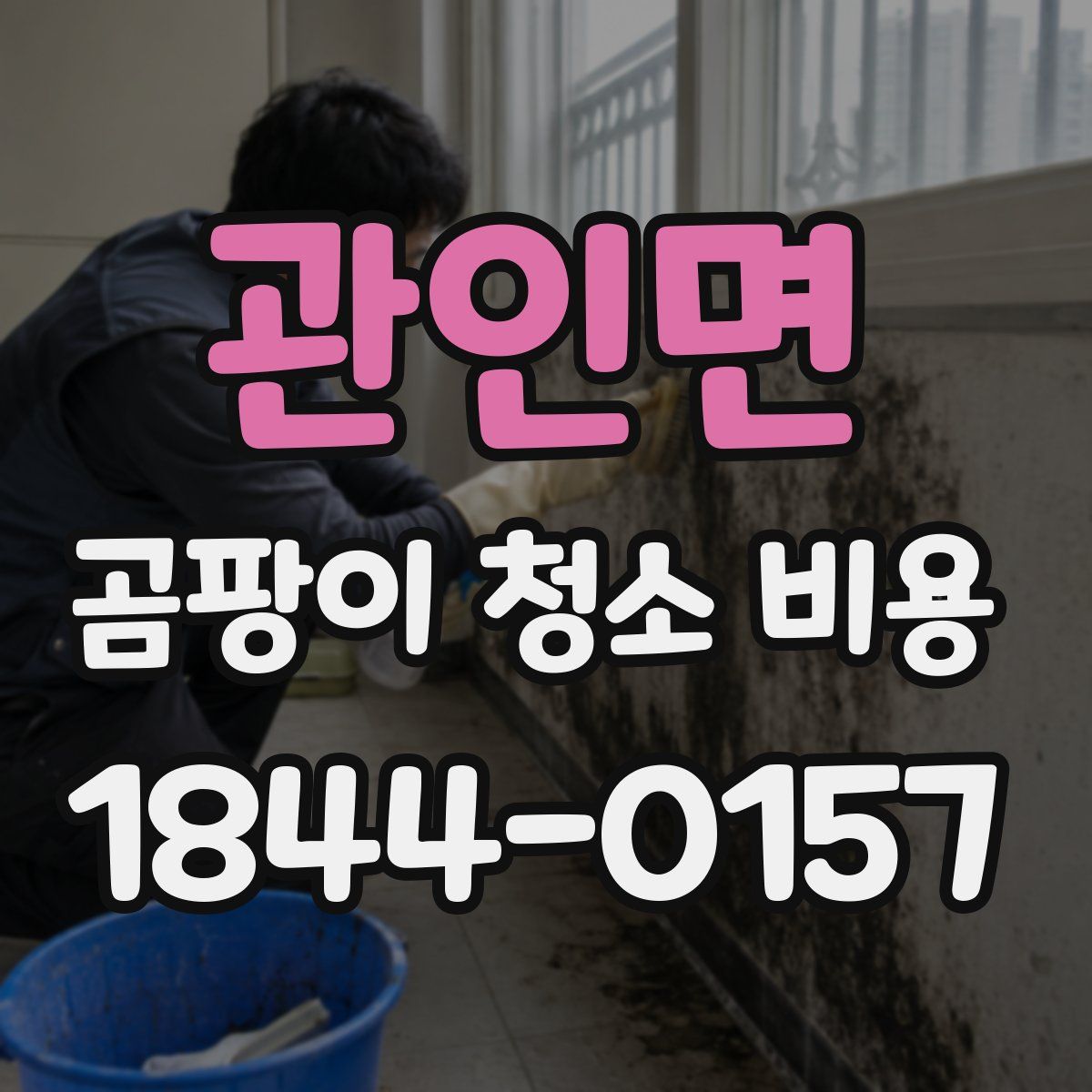 관인면 곰팡이 청소 비용