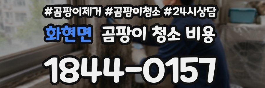 화현면 곰팡이 청소 비용