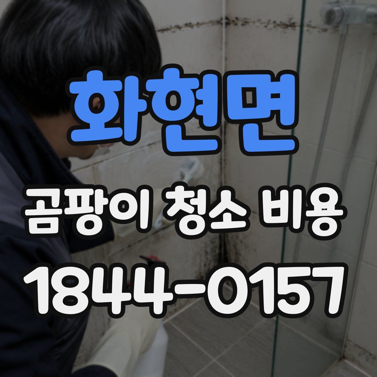 화현면 곰팡이 청소 비용