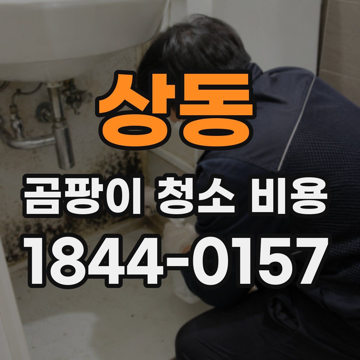 상동 곰팡이 청소 비용