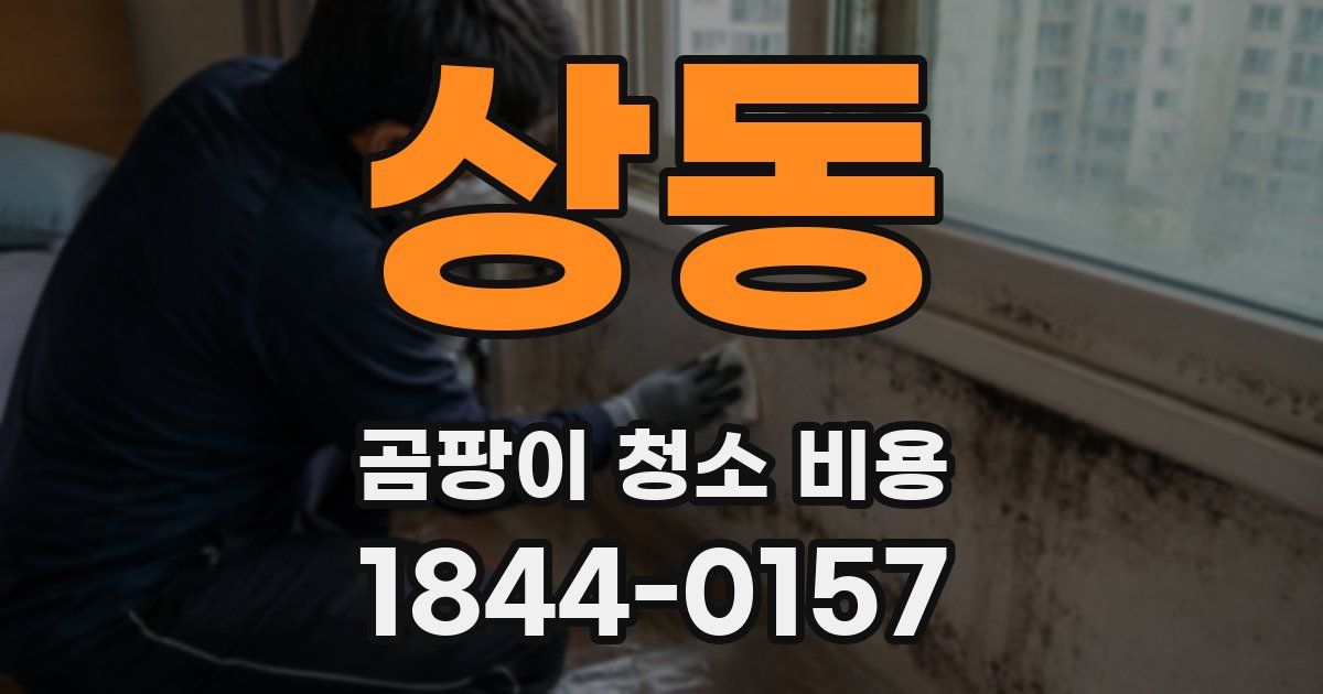 상동 곰팡이 청소 비용