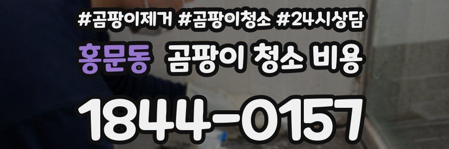 홍문동 곰팡이 청소 비용