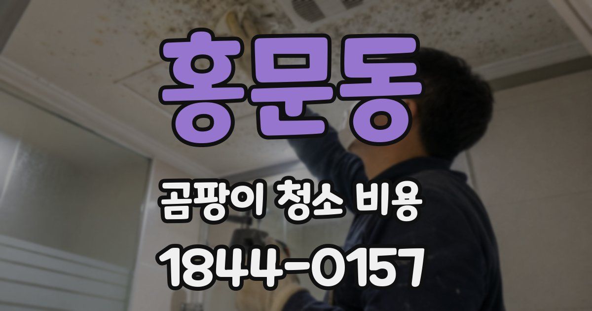 홍문동 곰팡이 청소 비용