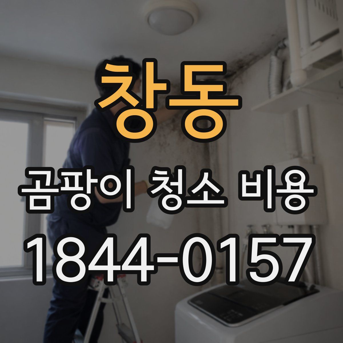 창동 곰팡이 청소 비용