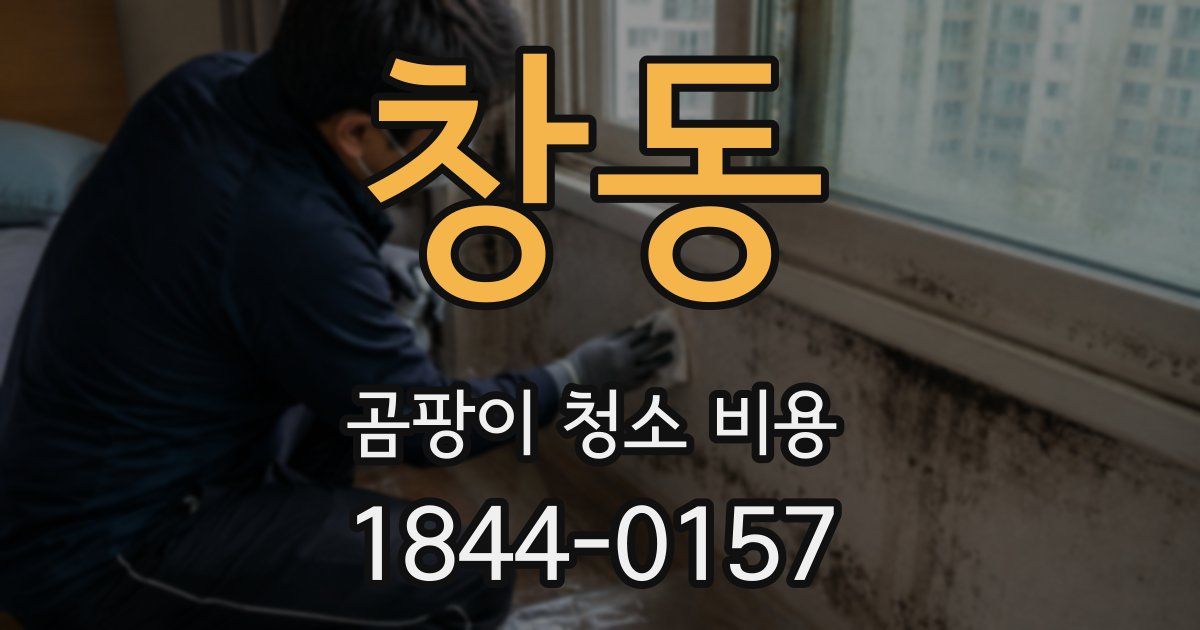 창동 곰팡이 청소 비용