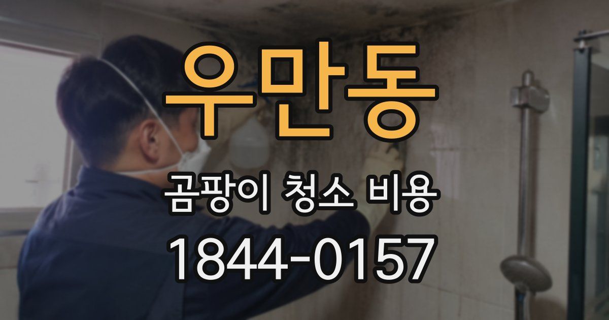 우만동 곰팡이 청소 비용