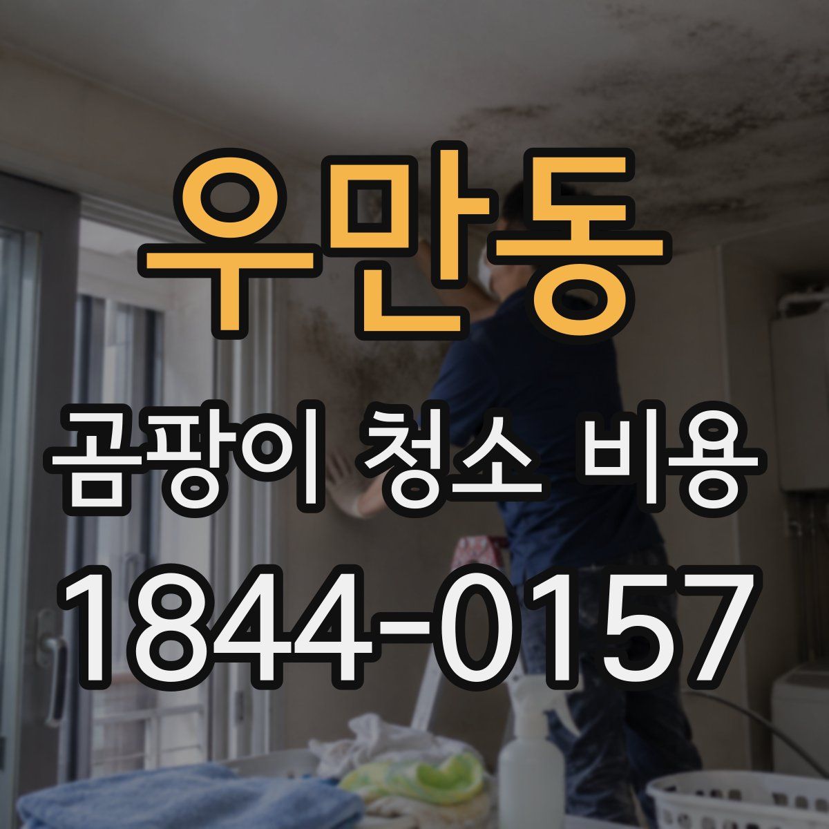 우만동 곰팡이 청소 비용