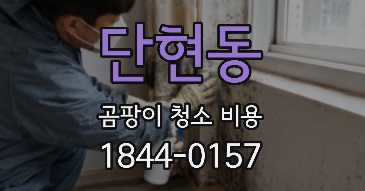 단현동 곰팡이 청소 비용