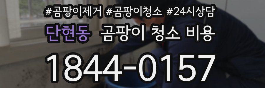 단현동 곰팡이 청소 비용