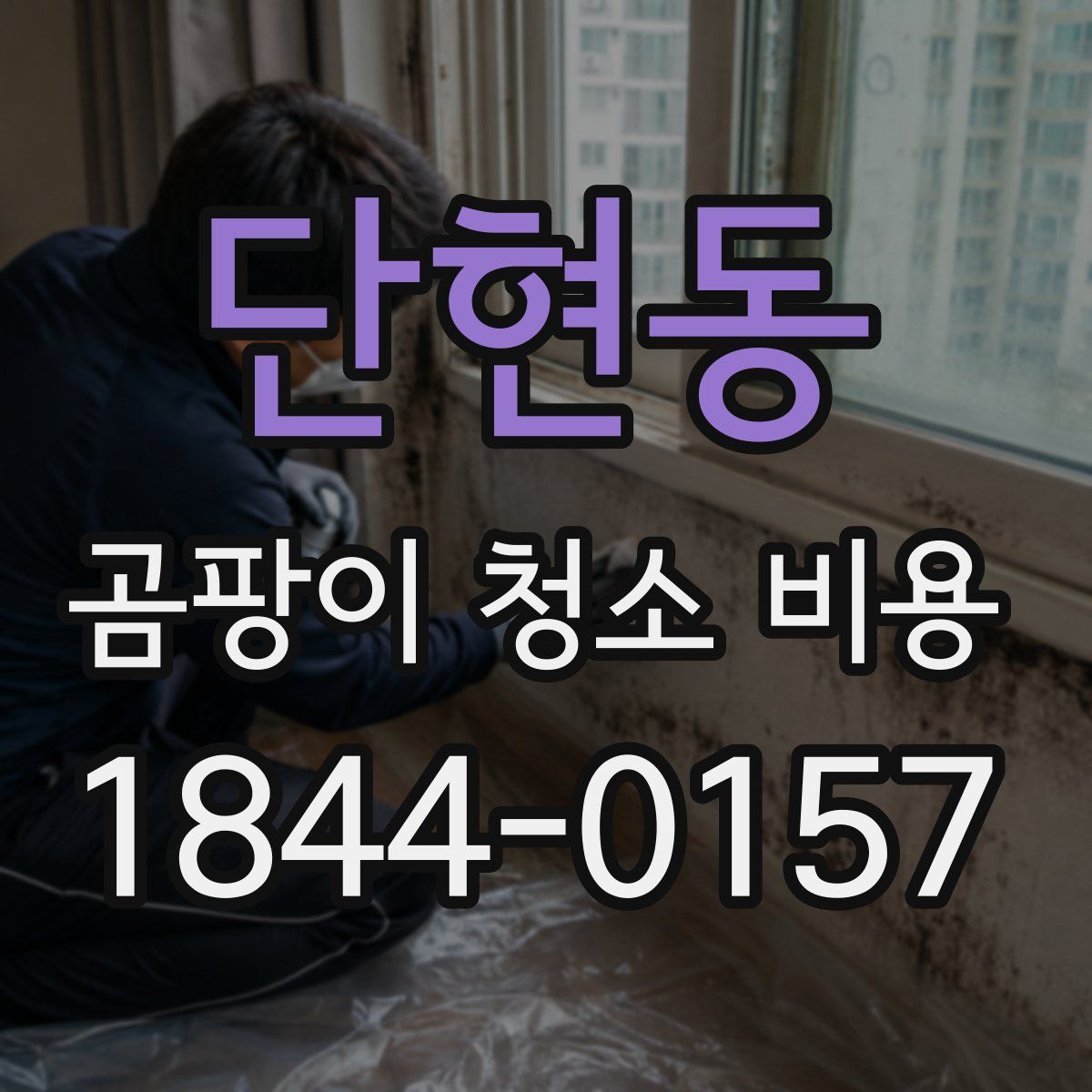 단현동 곰팡이 청소 비용