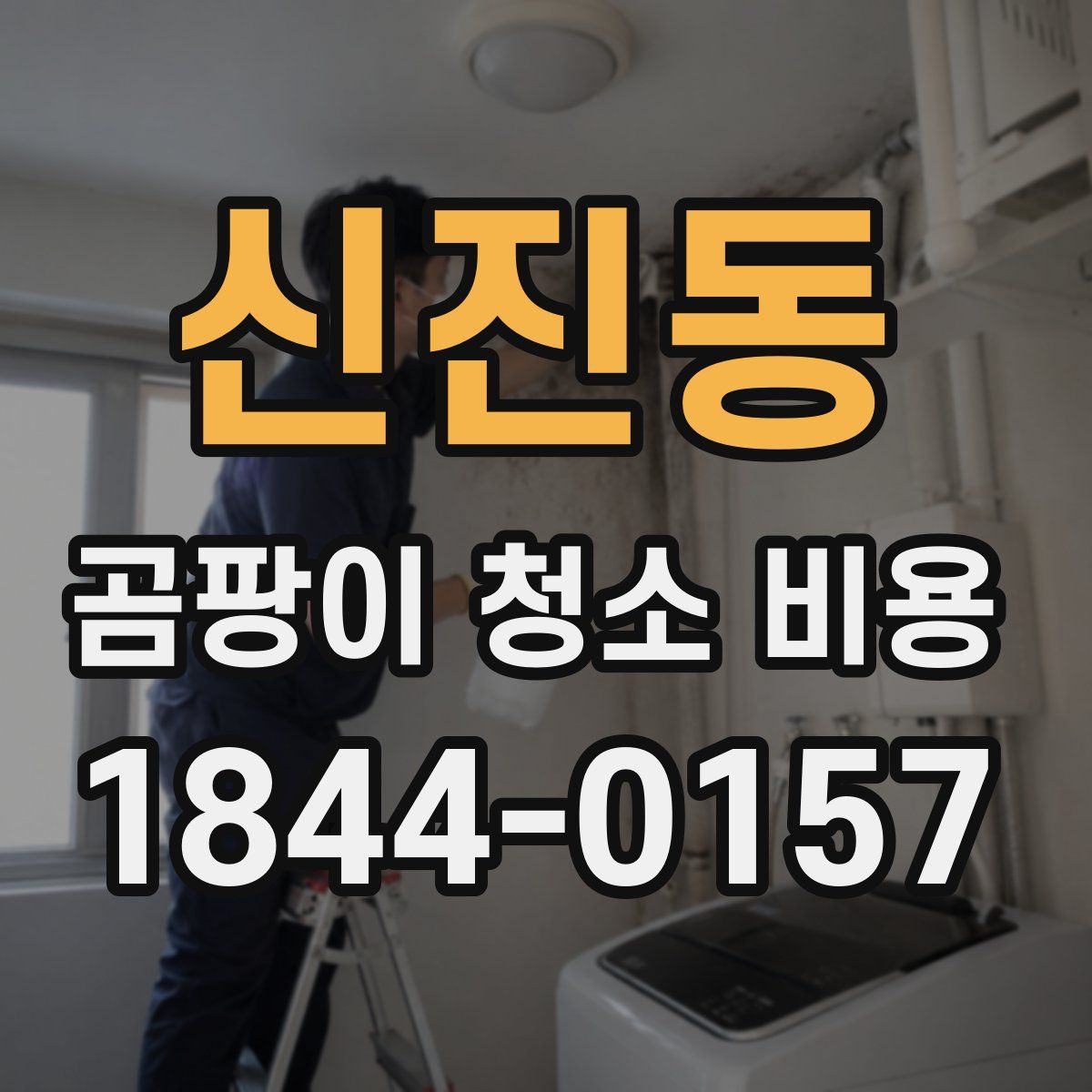 신진동 곰팡이 청소 비용