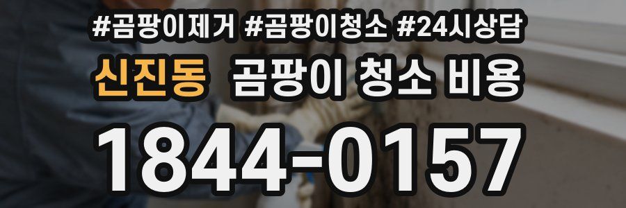 신진동 곰팡이 청소 비용