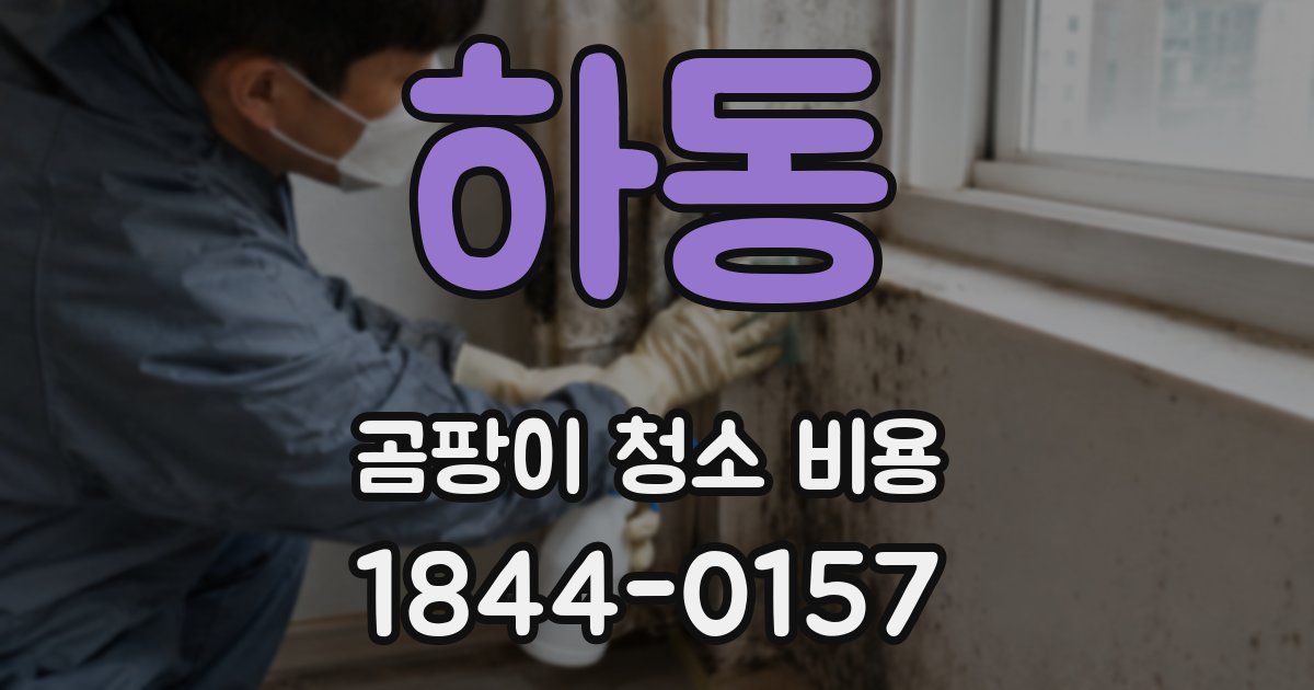 하동 곰팡이 청소 비용
