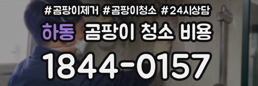 하동 곰팡이 청소 비용