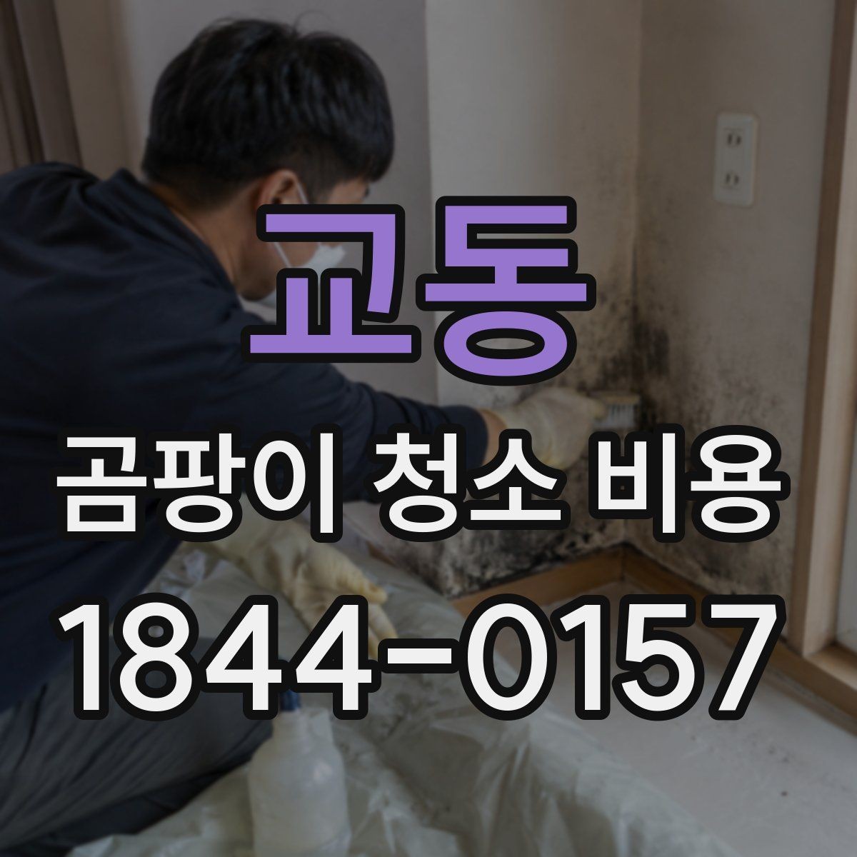 교동 곰팡이 청소 비용 실리콘 재오염이 반복되는 공간의 공통 조건