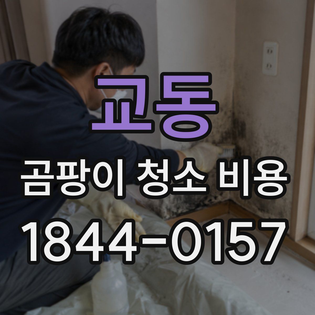 교동 곰팡이 청소 비용