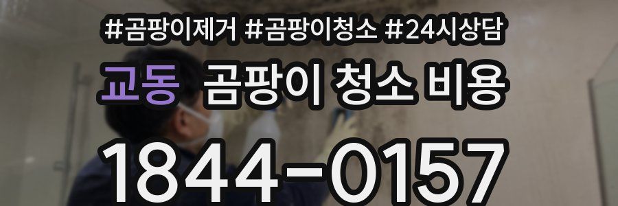 교동 곰팡이 청소 비용