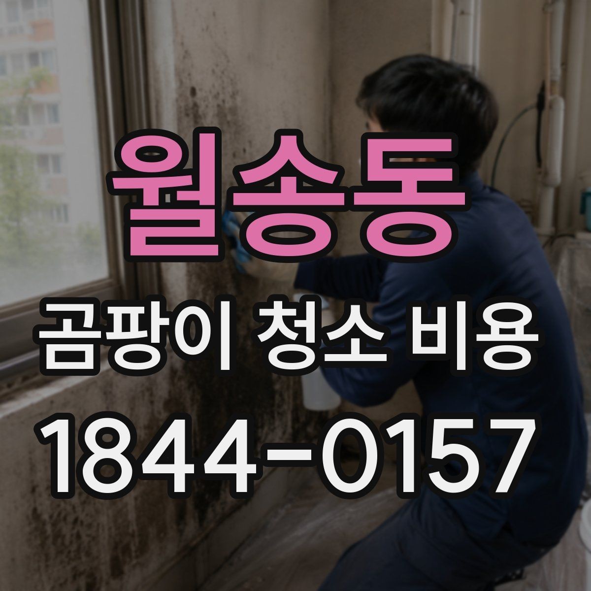 월송동 곰팡이 청소 비용 냄새 원인까지 보는 견적 기준
