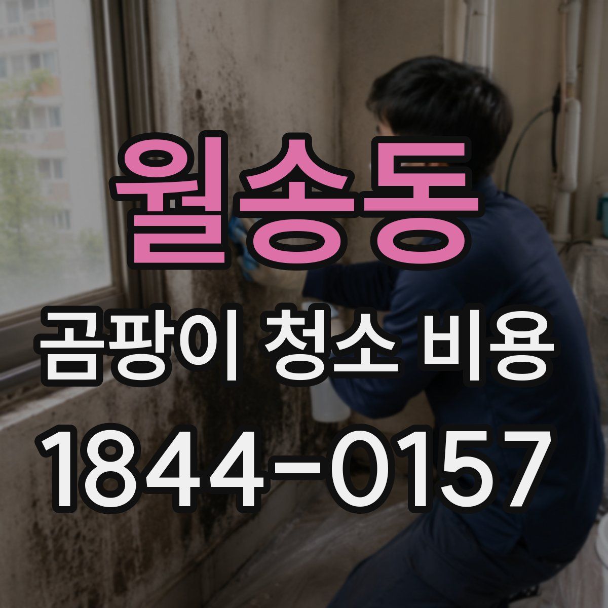 월송동 곰팡이 청소 비용