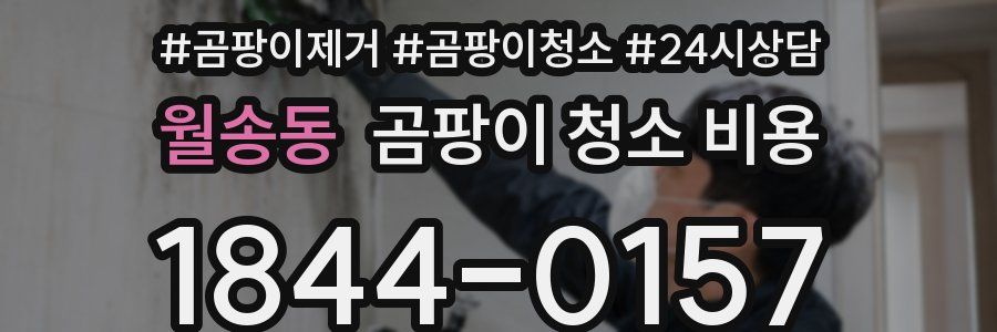 월송동 곰팡이 청소 비용