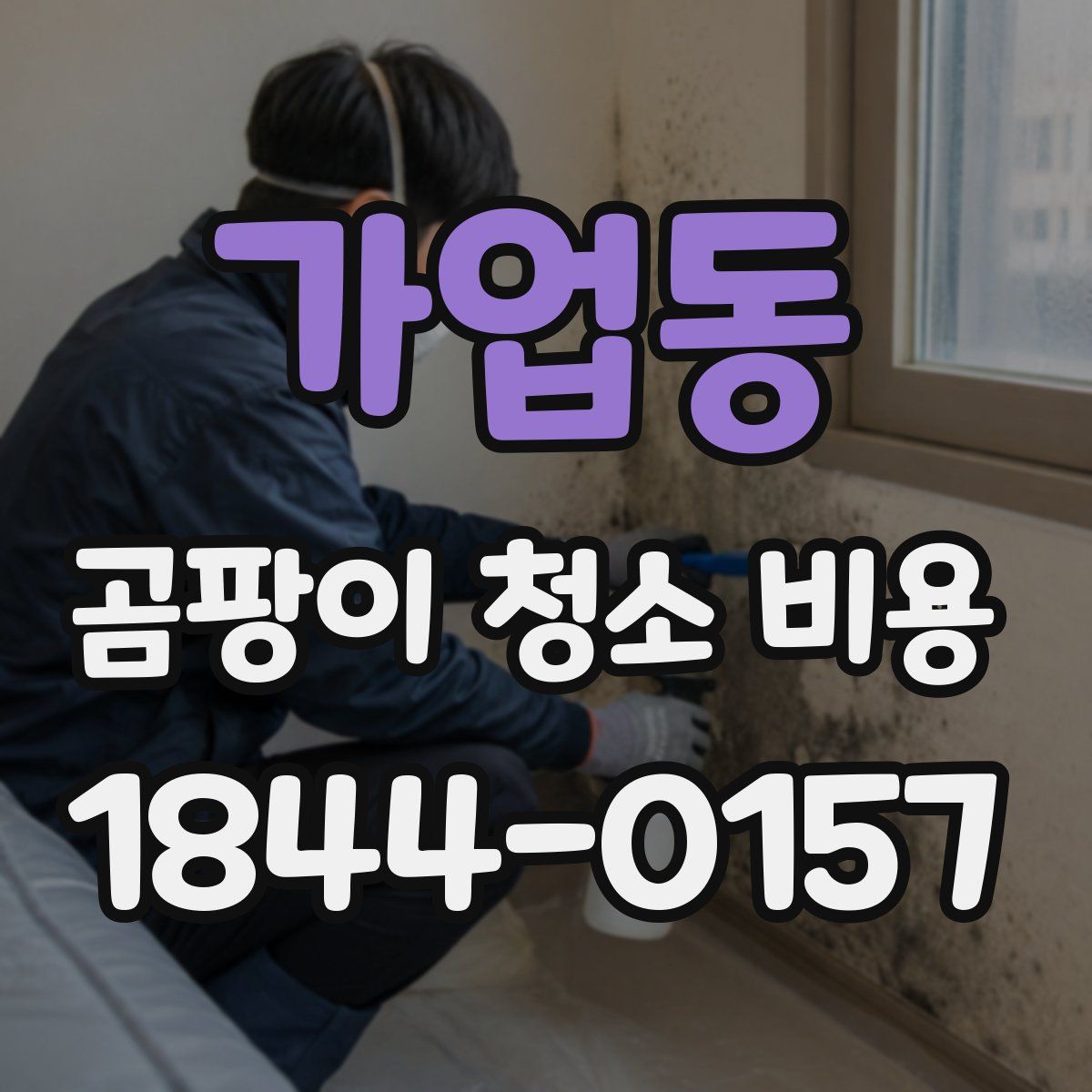 가업동 곰팡이 청소 비용