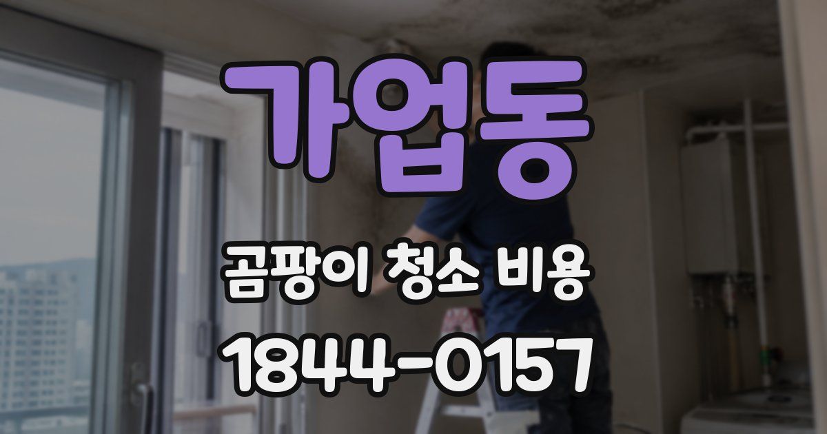 가업동 곰팡이 청소 비용