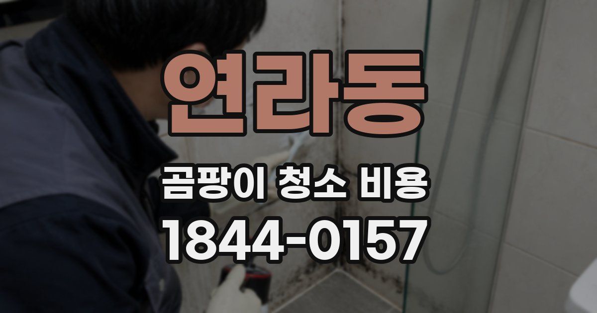 연라동 곰팡이 청소 비용