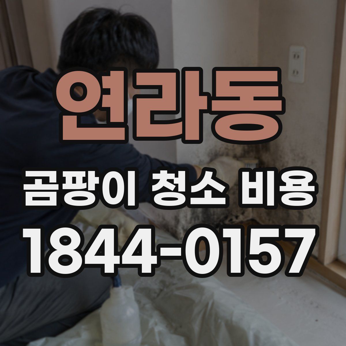 연라동 곰팡이 청소 비용