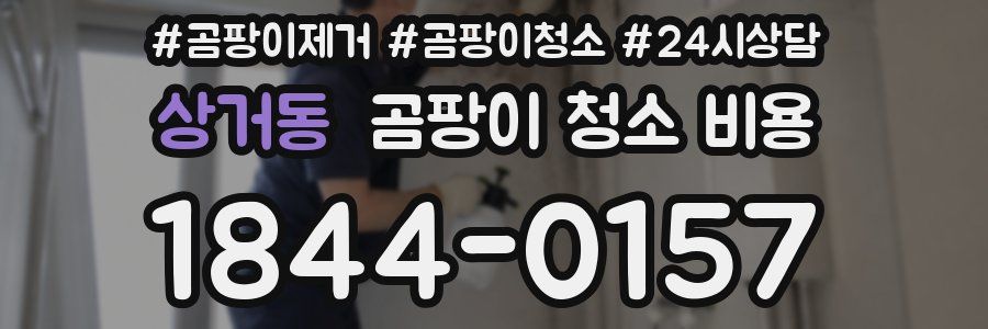 상거동 곰팡이 청소 비용